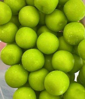 Chicle Mini Mango Biche 6 grs