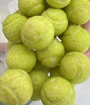 Chicle Pelota de Tenis