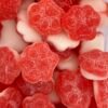 Mini huellas 4 grs