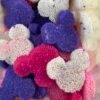 Mickey 6 grs